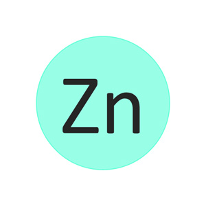 The role of zinc in the plant